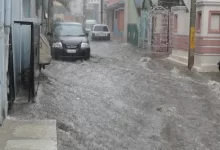 Zdroj:
