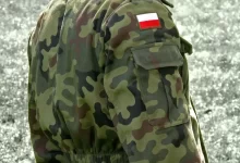 włodi