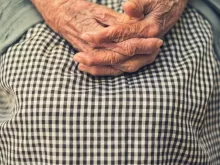 person's hand in shallow focus