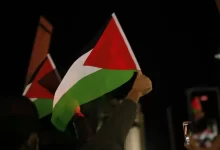 person holding green white and red flag