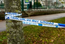 a close up of a blue and white police tape on a tree