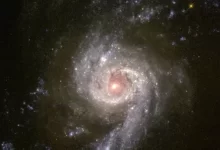 Starburst Galaxy NGC 3310 Blazes with Star Formation