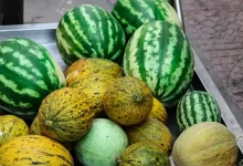 bunch of watermelons