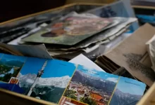 photo of assorted photo lot