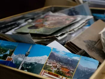 photo of assorted photo lot