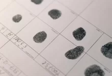 Detailed fingerprints on official document, highlighting identity verification process.