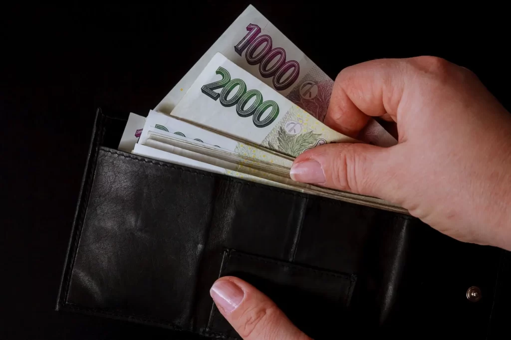 Shutterstock_1815231200 - Pravda24 České koruny v peněžence