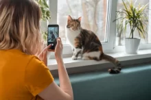 Žena fotí kočku na parapetu