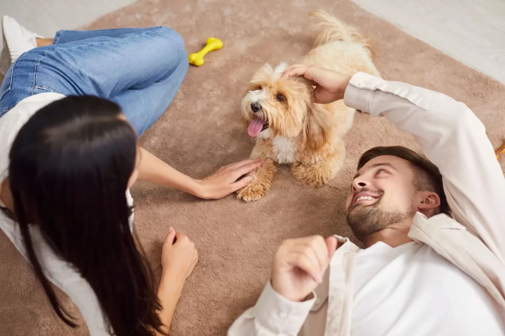 Shutterstock_2563869565 - Pravda24 Žena a muž si hrají se psem