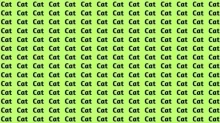 Optický klam se slovy Cat a Cut