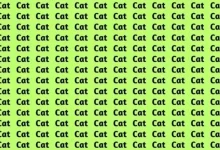 Optický klam se slovy Cat a Cut