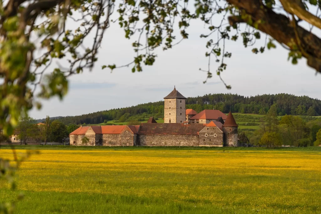 shutterstock_2194510475 - Pravda24 hrad Švihov