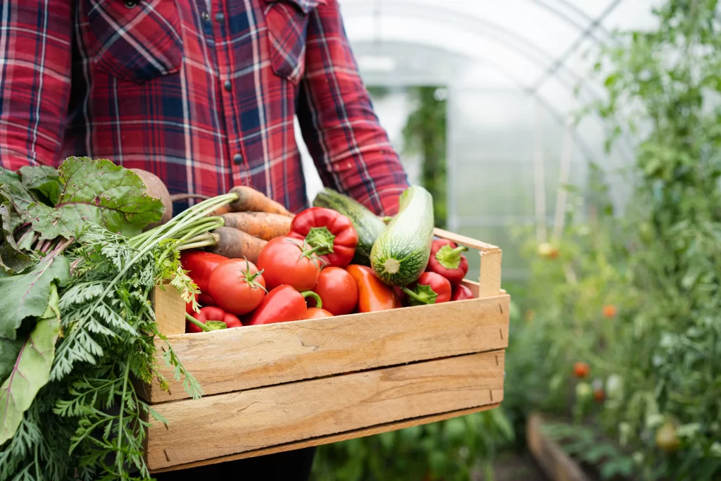 Zelenina v bio kvalitě pesticidy neobsahuje. Zdroj: Shutterstock - Pravda24 Zelenina v bedínce.