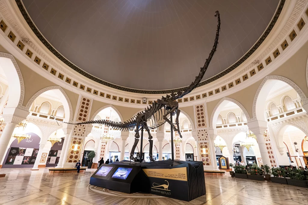Historií dinosaurů se zabývá nejedno české i zahraniční muzeum. Zdroj: Shutterstock - Pravda24 Muzeum s kostí dinosaura.