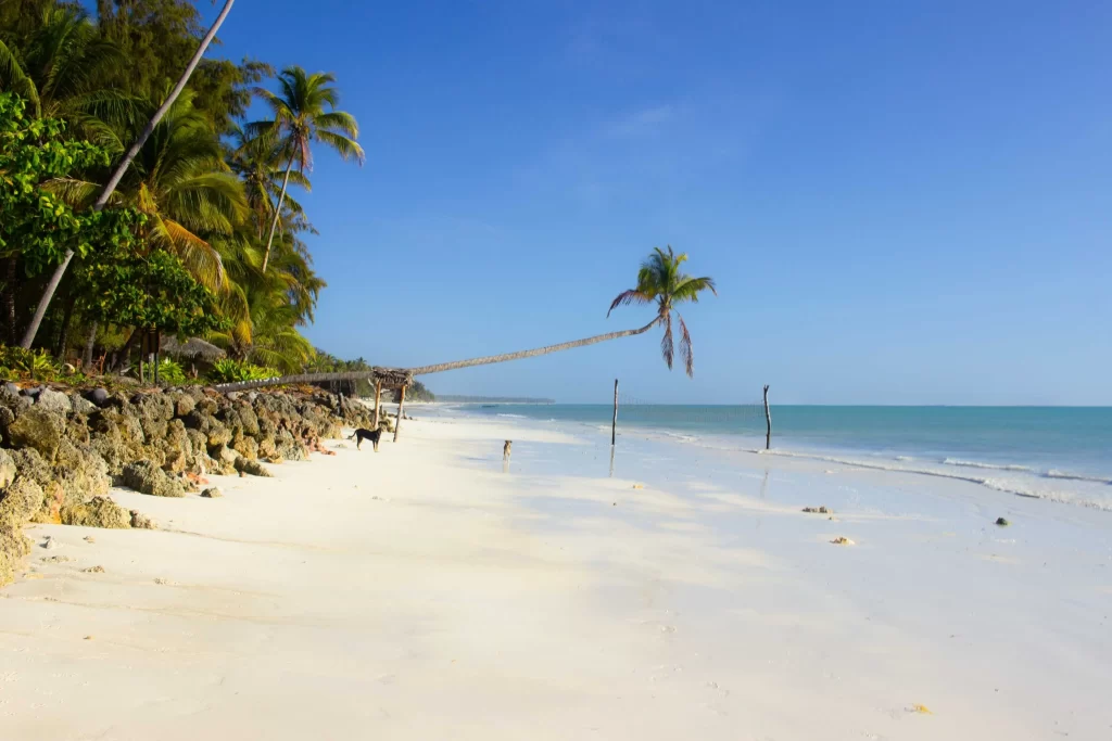 shutterstock_2514579445_optimized - Pravda24 Bílé pláže na Zanzibaru