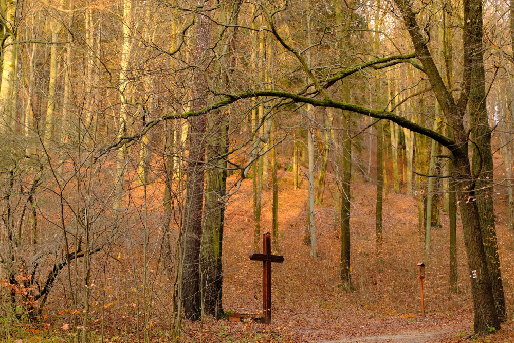 WoodenCrossAndColorfulSunriseInAForestSvojkovCzech - Pravda24 Dřevěný kříž v Modlivém dole.