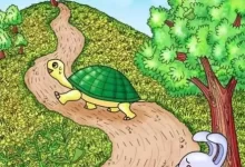 Obrázek z bajky Želva a zajíc