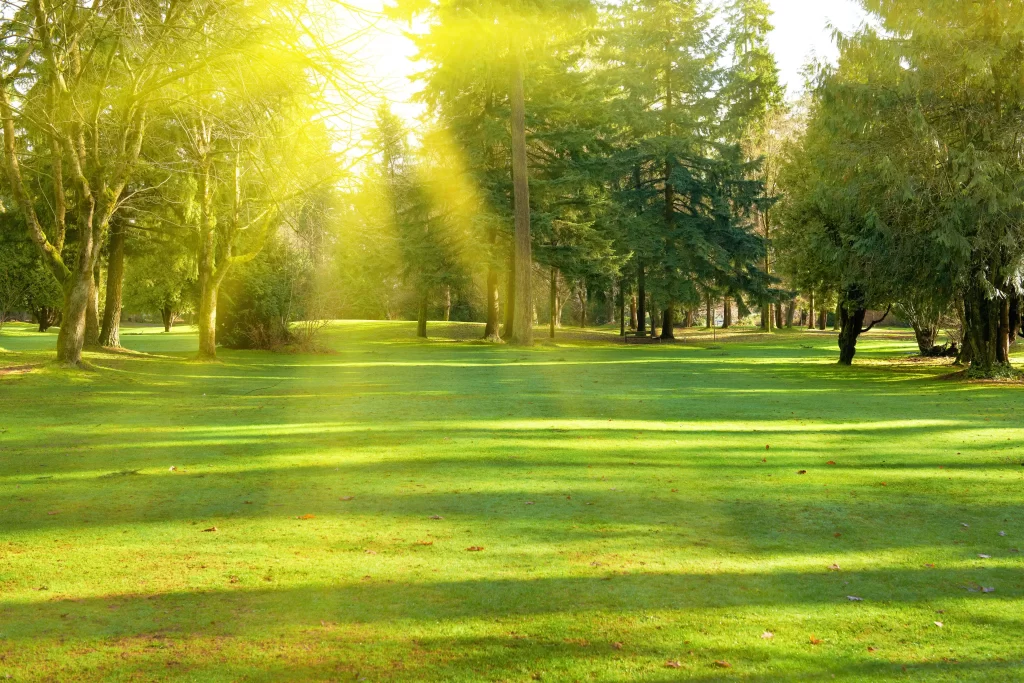 shutterstock_132874250_optimized - Pravda24 jarní park