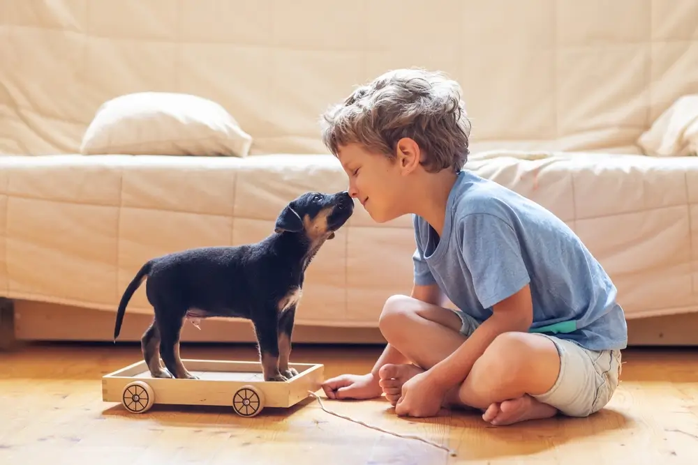 shutterstock_2060682173 - Pravda24 Dítě hrající si se štěňatem.