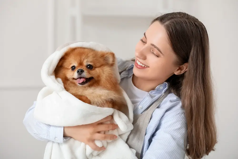 shutterstock_2491081065 - Pravda24 Žena se stará o psa.