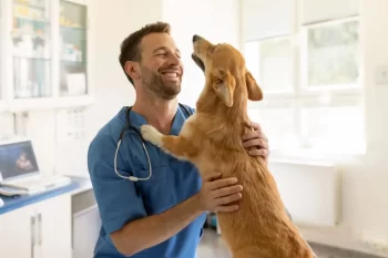 Veterinář se psem