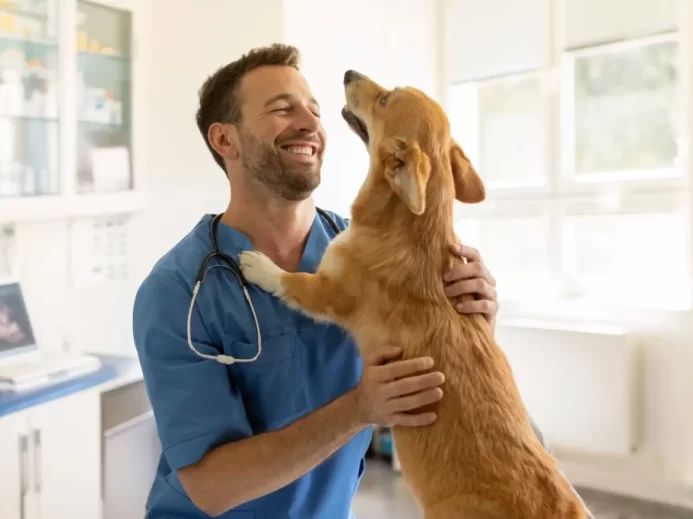 Veterinář se psem