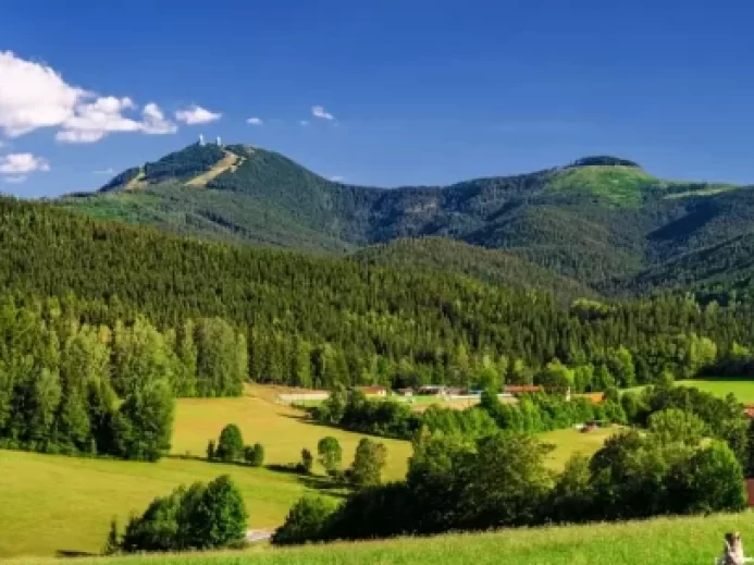 Pohled na krásnou krajinu bavorského lesa.