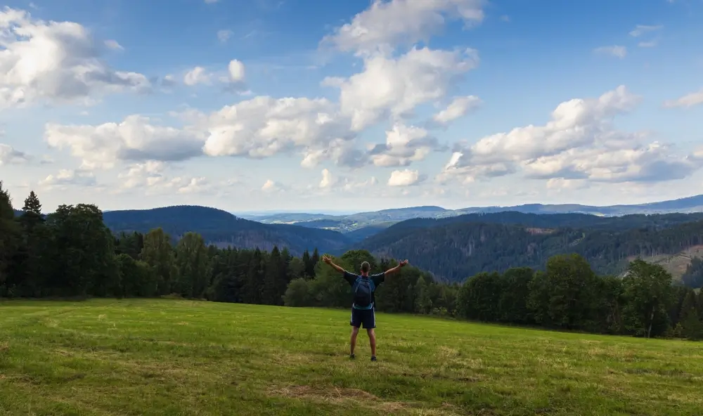 shutterstock_2496783365 - Pravda24 Šumava.