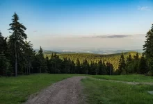Pohled na drsně romantickou krajinu Krušných hor.