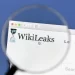 Detail loga WikiLeaks zobrazeného přes lupu na počítačové obrazovce