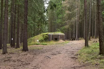Slavonické řopíky