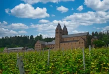 Pohled na klášter Eibingen v německém Porýní mezi vinicemi, jedno z míst spojených s působením Hildegardy z Bingenu