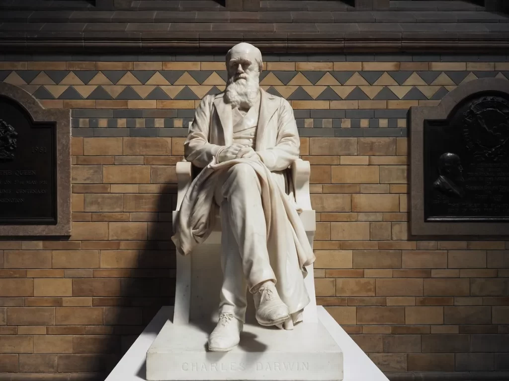 - Pravda24 Charles Darwin socha