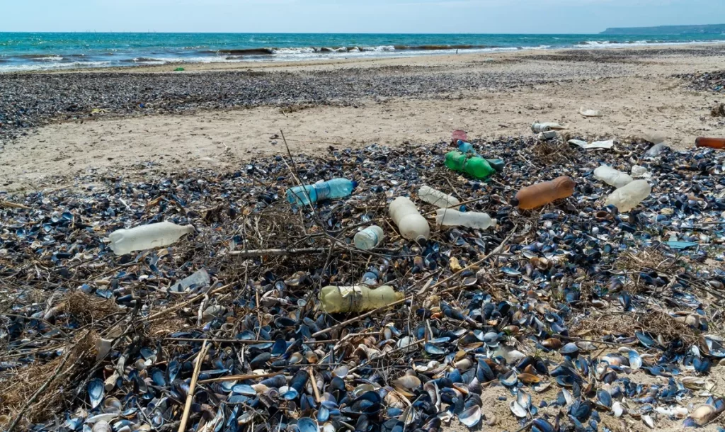 - Pravda24 Plastové láhve odpad pobřeží oceánu