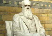 Charles Darwin socha