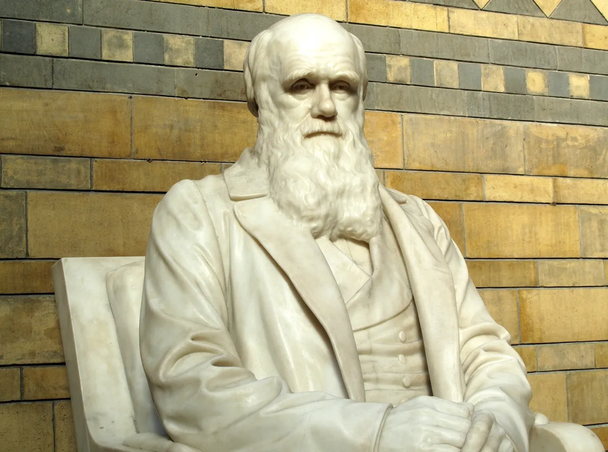 Charles Darwin a teorie evoluce: Nepřežije ten nejsilnější, ale ten, kdo se dokáže přizpůsobit