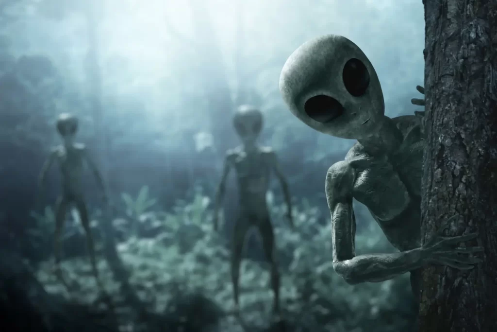 - Pravda24 Umělecké ztvárnění klasických „šediváků“ v lesním prostředí, jak bývají často zobrazováni ve sci-fi filmech a svědeckých výpovědích