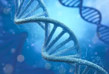 DNA šroubovice