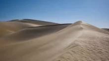 Písečná duna: fotografie pouště v Egyptě