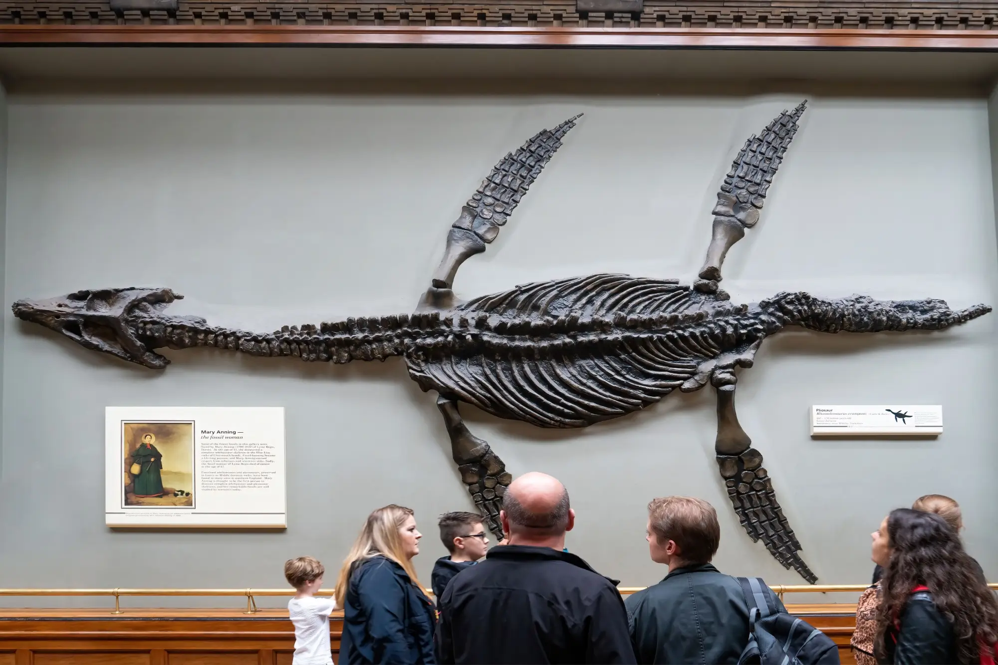 - Pravda24 Plesiosaurus