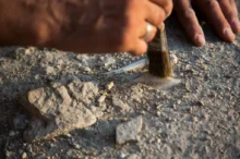 Archeologické nálezy umí překvapit.