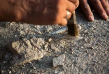 Archeologické nálezy umí překvapit.