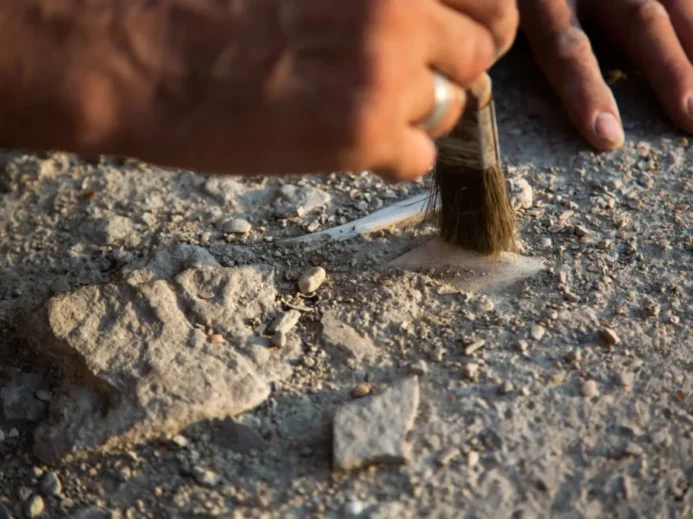 Archeologické nálezy umí překvapit.