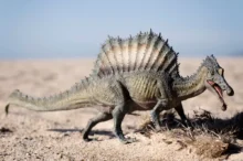 Spinosaurus