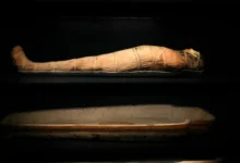 Egyptská mumie