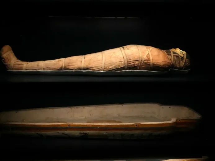 Egyptská mumie