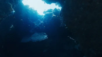 pohled ven z jeskyně